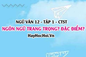 Ngôn ngữ trang trọng là gì? Đặc điểm của ngôn ngữ trang trọng? Ngữ Văn 12 CTST